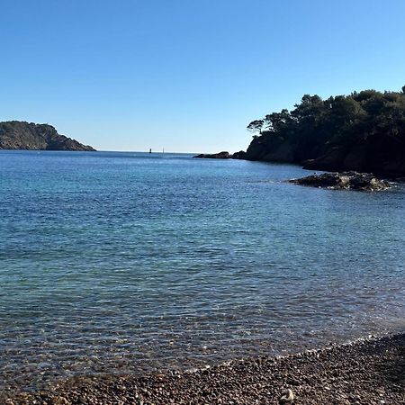 Lavande Centre Ancien Port Plages By Laconciergerie13 La Ciotat Extérieur photo